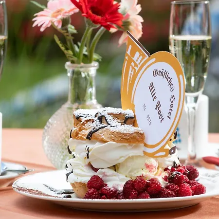 Hotel Graefliches Alte Post 4*