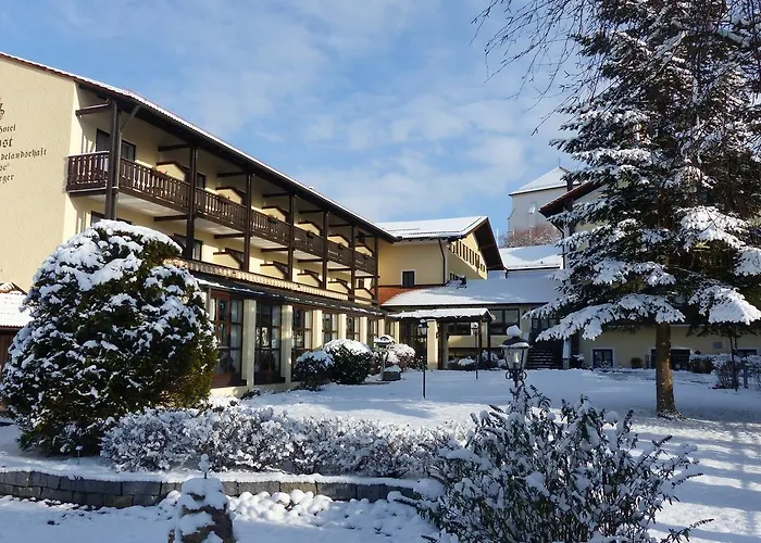 Hotel Graefliches Alte Post 4*
